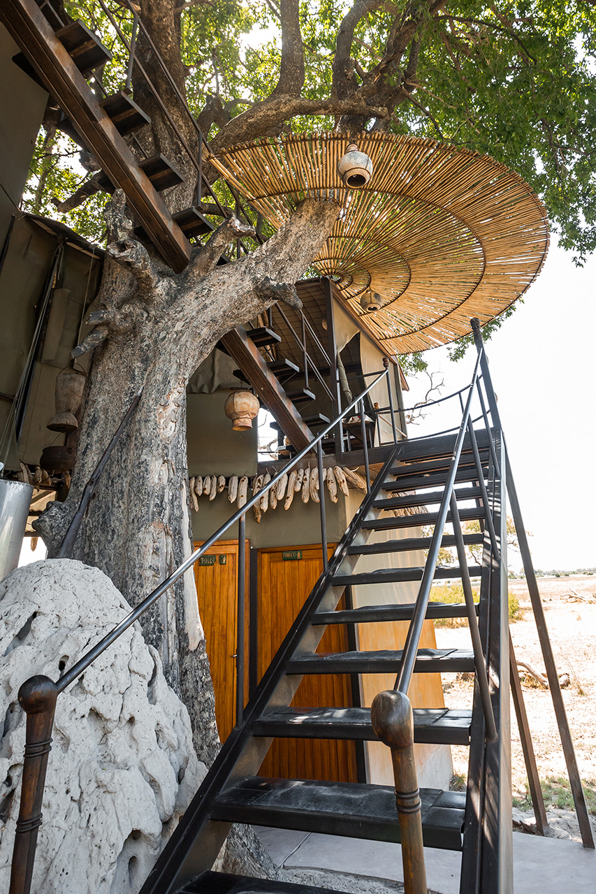 Jackalberry_strairs2 1